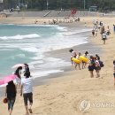 해운대해수욕장 이미지