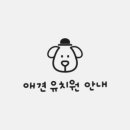 마이댕댕스쿨 이미지