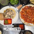 와룡초 | 대구 달서구 맛집 추천 해산물 포차 백고동밤포차