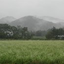 미완성 이미지