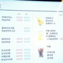 강릉꽈로케 이미지