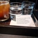 지브이오(GVO) 이미지