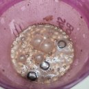 (주)퍼스트마인드 | 2025. 10월 마지막주 일기 스위치온 다이어트를 곁들인..