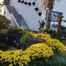 쉬엉갑서예 이미지