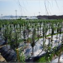 이동철농장 이미지