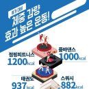 하마정약국 | 양정점핑/부산진구점핑/하마정 운동/거제리운동/부산여대운동/동의대학운동