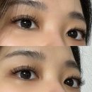 중흥명품세탁소 | [수원/광교] 블루디션 광교본점 :: 처음 해보는 LED 속눈썹 연장! 대만족 후기/가는방법/후기사진