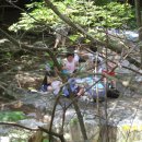 대자연횟집 이미지