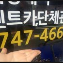 상지여행사