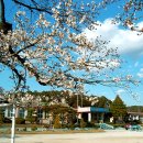 왕치초등학교 이미지