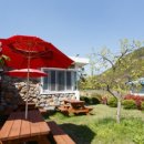 돌고래 펜션 이미지