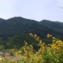 오지 - 세종특별자치시 조치원로 3-1 | 오지