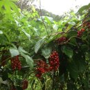 무성농장 이미지