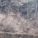 수원박물관 | 수원 아이랑 가볼만한곳, 수원광교박물관 토요일 방문 후기