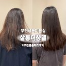 부천상동수석프라자 | 부천 상동 미용실 &#39;살롱더샹델&#39; 반곱슬 손상 없이 볼륨매직 리얼 후기