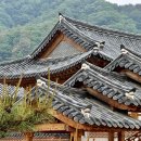 [2026년 5월 20일] 라비에벨 올드코스 수중 라운드 후기 및 코스 분석