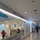 유아과학 | 와이키즈 분당 6세 유아 과학 수업 후기