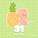 임신일기 (31 ~ 32주) | 출산준비 시작, 빨래 공장, 백일해 접종 그리고 D-50