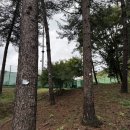 인재개발원 테니스장 이미지