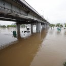 당산1교 이미지