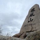 동림장 이미지