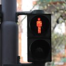 풍경버스 | 제주 시티투어버스 2층버스 후기, 탁 트인 풍경과 편안한 여행 경험