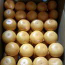 평안농장 이미지