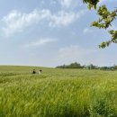 주황농장 이미지