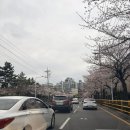 영신전문정비 | [ 사하구 검사소 ] 자동차 정기검사 미루면 과태료 폭탄, 사하영신검사정비에서 정기검진 후기