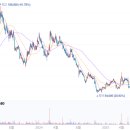 바이오치과 기공소 이미지