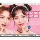 더루루의원 이미지