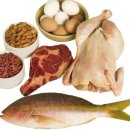 팜 휘트니스 이미지