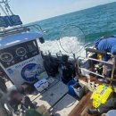 영복1호 이미지