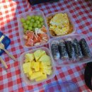 미들아일랜드(middle island) | [캐나다 워홀] 밴쿠버 여름 즐기기 | 컬쳐스 레이크 | 나 홀로 보웬 아일랜드