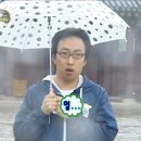 전주열린약국 | 2024 전주국제영화제 후기(영화 스포 약간 0)