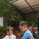 동혜 네이버블로그