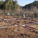 산정마을농로 이미지