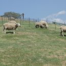 아이와 함께하는 동화여행 이미지