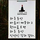 양등1 이미지