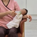 카페마벨르 | 판교 마벨르 산후조리원 광고/홍보 없는 솔직한 후기