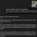 들풀향펜션 | [거제] 원이 안원잘부 거제편에 나온 바다뷰 카페, '씨야드 Seayard' 스테이에 묵어보았다