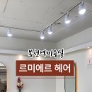 르미에르헤어