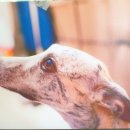 엔일공구 이미지