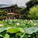 임석 경로당 이미지