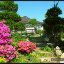 산촌도시락