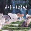 고양이에정원 이미지