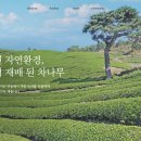 로전