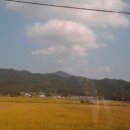 김삿갓로 이미지