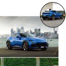 패밀리 카 센타 이미지