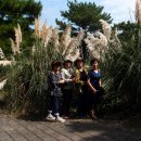 연우농원 이미지